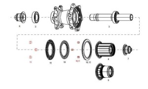 Części zamienne do piasty tylnej Zipp MAGNET SET FOR CLUTCH REAR COGNITION NSW 11.2018.035.001