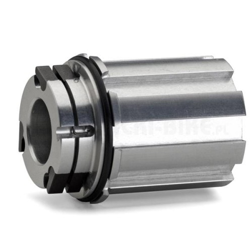 90909090catareso_corpetto campagnolo.jpg