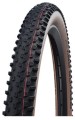 24432443catareso_racing-ray-speed.jpg