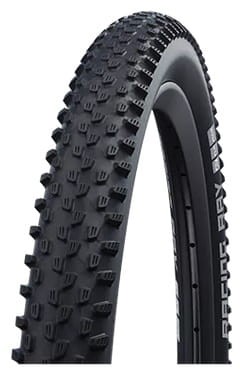 24432443catareso_racing-ray-performance.jpg