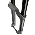 46555.png