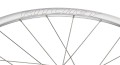 whl_cx_classic_zeta_disc_my2020_decal.jpg
