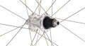 whl_cx_classic_zeta_disc_my2020_rear-angle.jpg