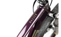 pells-razzer-1-w-purple_1_v.jpg