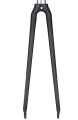 Screenshot 2023-09-05 at 11-47-35 Ritchey Comp Carbon Road Bike Fork _ Road Bike Forks.png