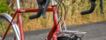 Screenshot 2025-01-16 at 10-45-43 Ritchey Montebello Road Bike Frames.png