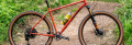 Screenshot 2026-01-07 at 11-32-17 Ritchey P-29er Mountain Bike Frames.png
