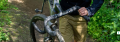 Screenshot 2026-01-08 at 20-19-05 Ritchey SuperLogic Butano Ridge Gravel Bike Handlebars.png