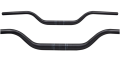 Screenshot 2026-01-21 at 21-37-30 Ritchey Comp Buzzard Bicycle Handlebars.png