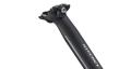 Screenshot 2026-02-01 at 21-36-28 Ritchey WCS Carbon 1-Bolt Zero Offset Seatpost.png
