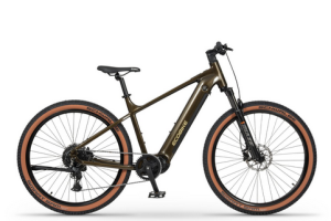 Rower elektryczny Ecobike SX 300 25Ah 900Wh k/ Green