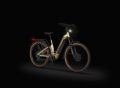Screenshot 2026-04-21 at 22-41-22 Rower elektryczny Ecobike Flex Titan Ecobike Rowery Elektryczne.png
