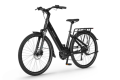 Screenshot 2026-10-13 at 22-24-35 Rower elektryczny Ecobike LX 100 Black Ecobike Rowery Elektryczne.png